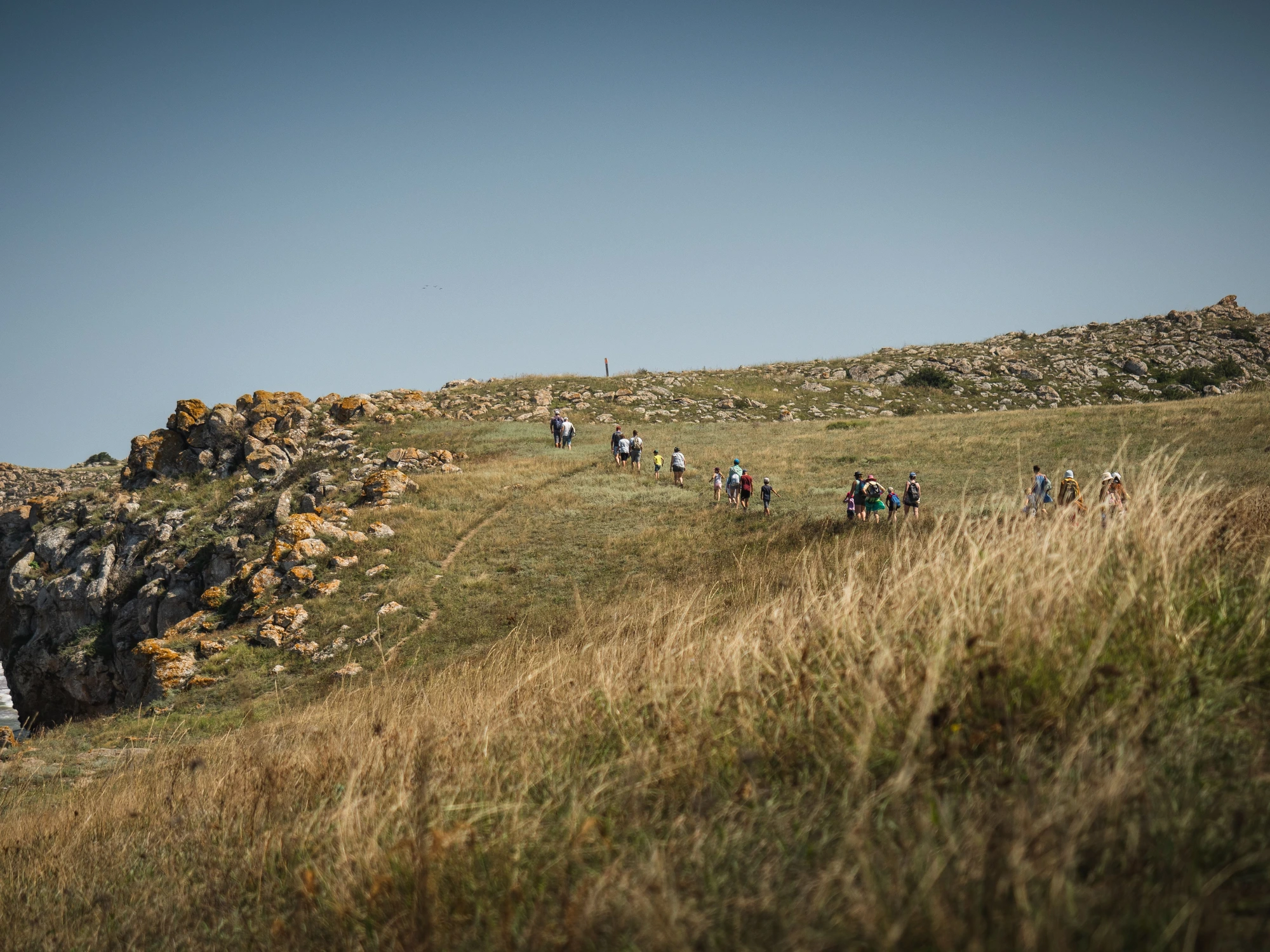 A group walking together along a grassy coastal trail